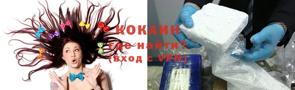 прущие крисы Белокуриха