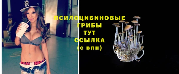 спиды Беломорск