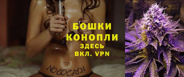 прущие крисы Белокуриха