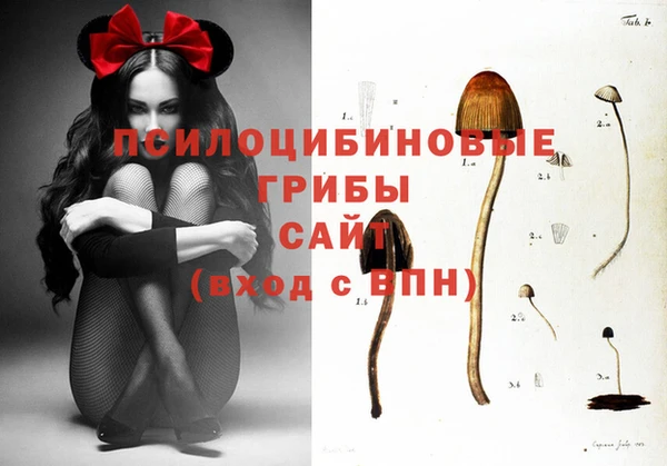 спиды Беломорск