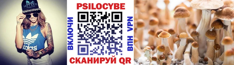 Псилоцибиновые грибы мицелий  Шали 
